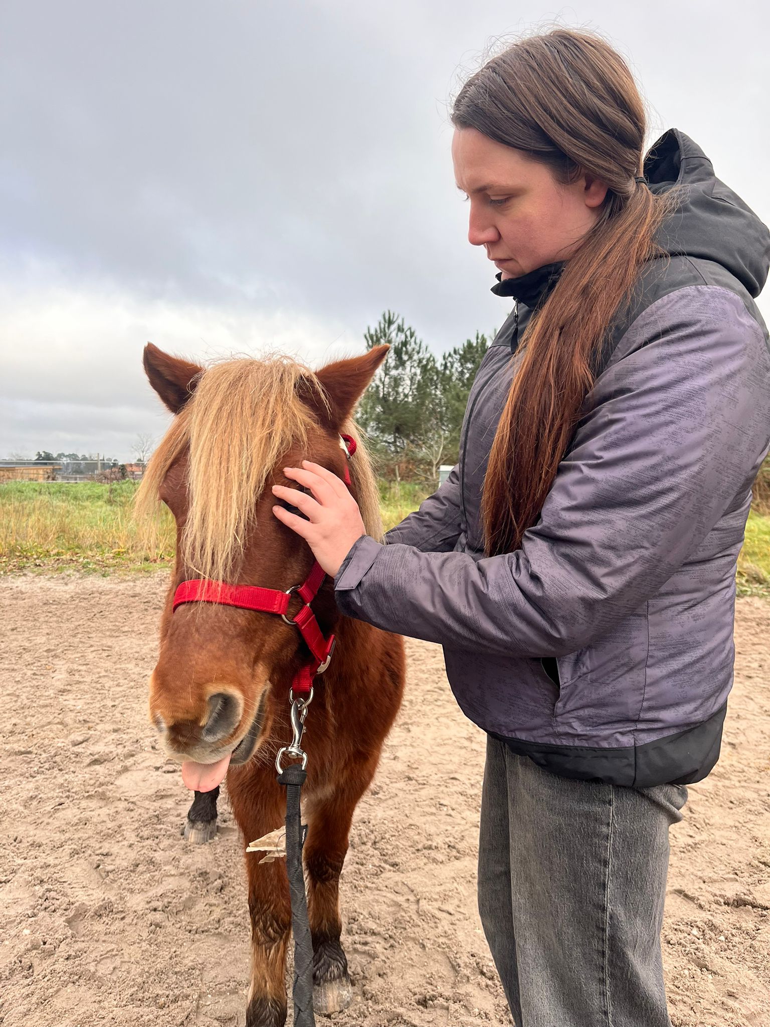 Soin sur un poney
